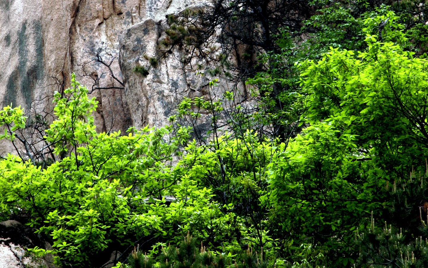 Fotografía de paisaje (2) (Li trabaja Shanquan) #6 - 1440x900