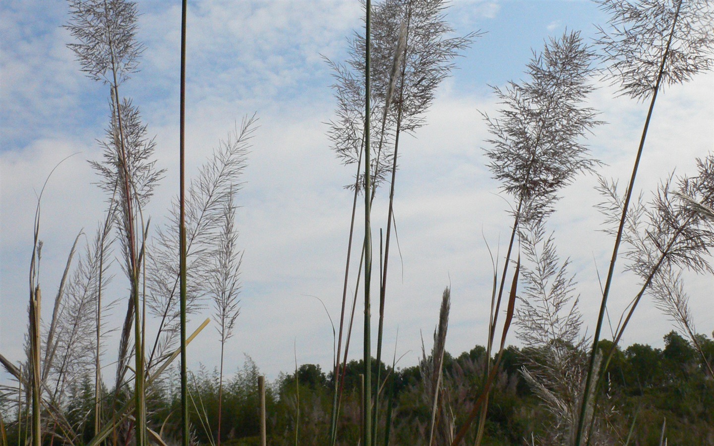 Landschaftsfotografie (2) (Li Shanquan Werke) #9 - 1440x900