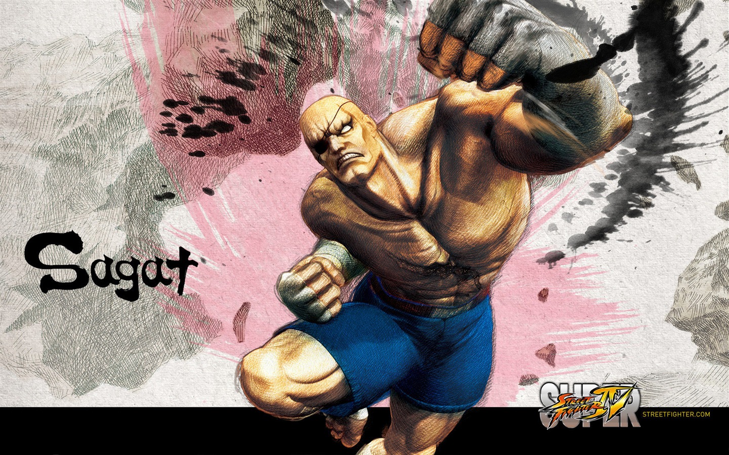 Super Street Fighter 4 Fonds d'écran HD #10 - 1440x900
