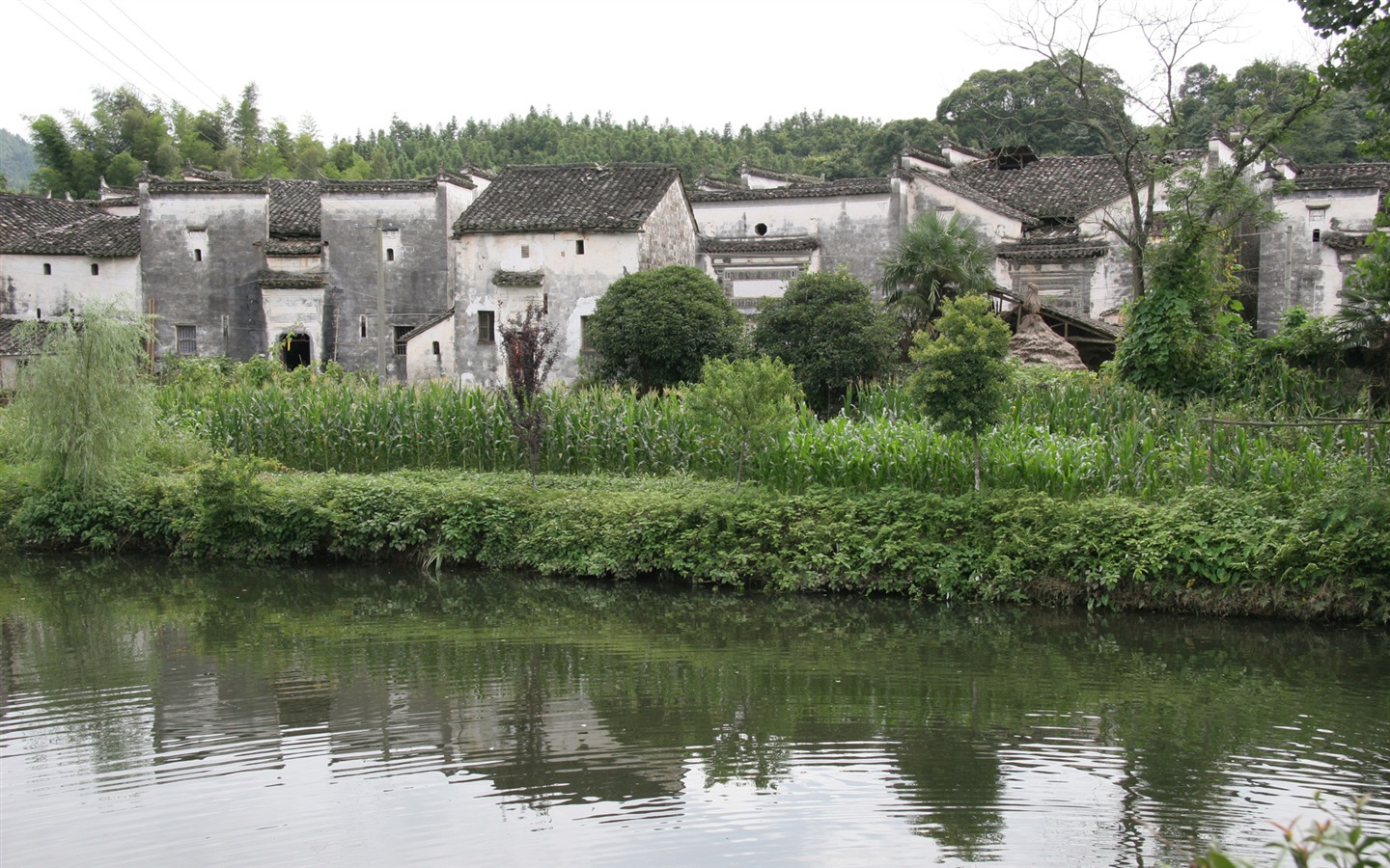 Landschaftsfotografie (3) (Li Shanquan Werke) #18 - 1440x900