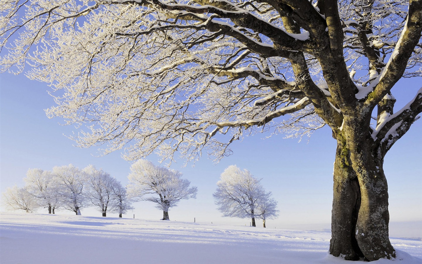 Sníh širokoúhlý tapety (1) #6 - 1440x900