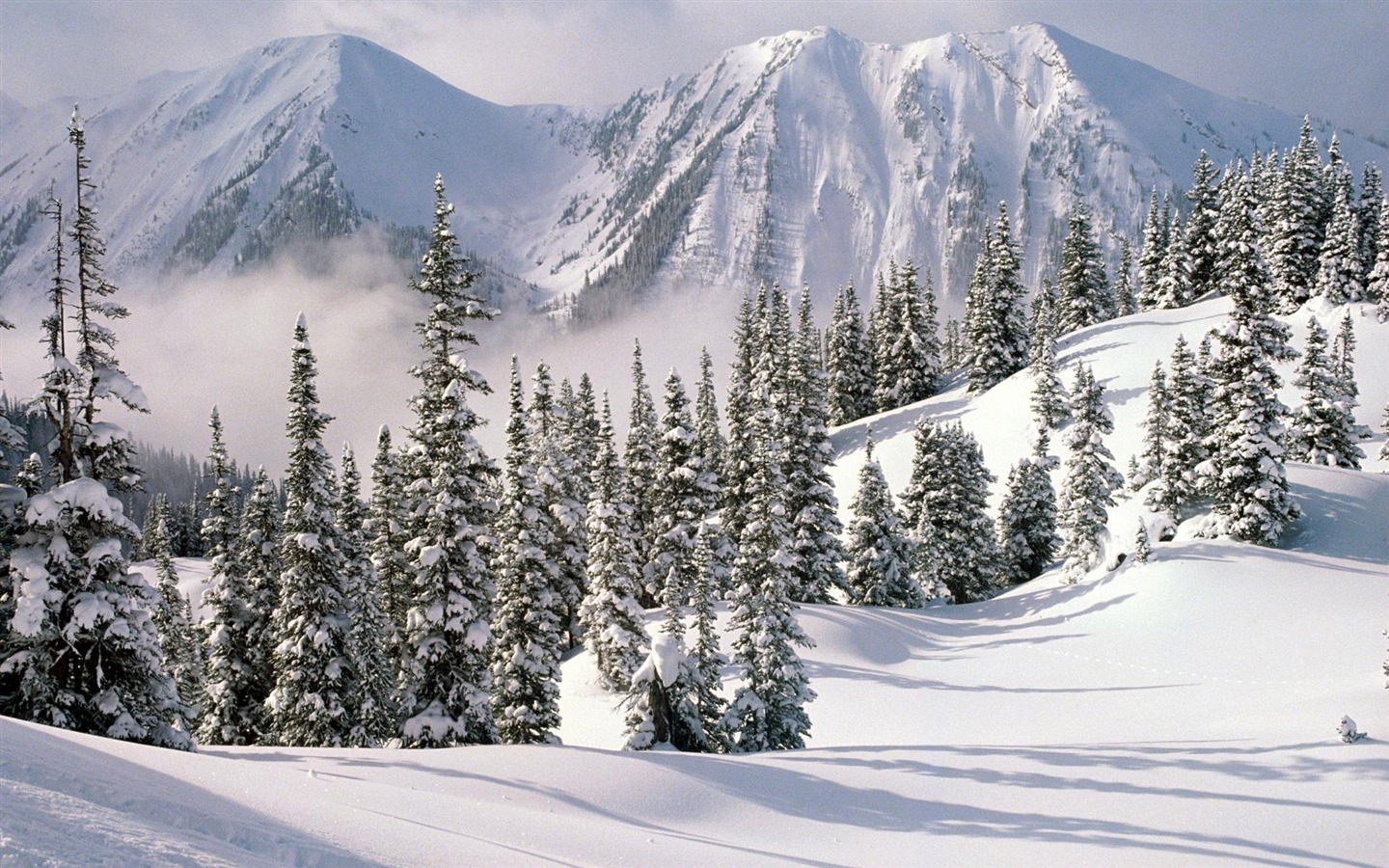 Sníh širokoúhlý tapety (1) #19 - 1440x900