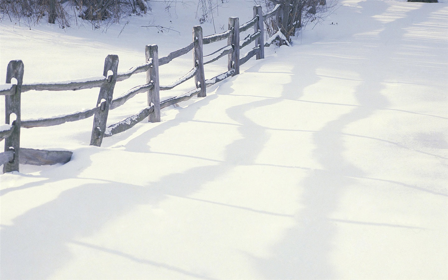 Snow widescreen wallpaper (2) #8 - 1440x900