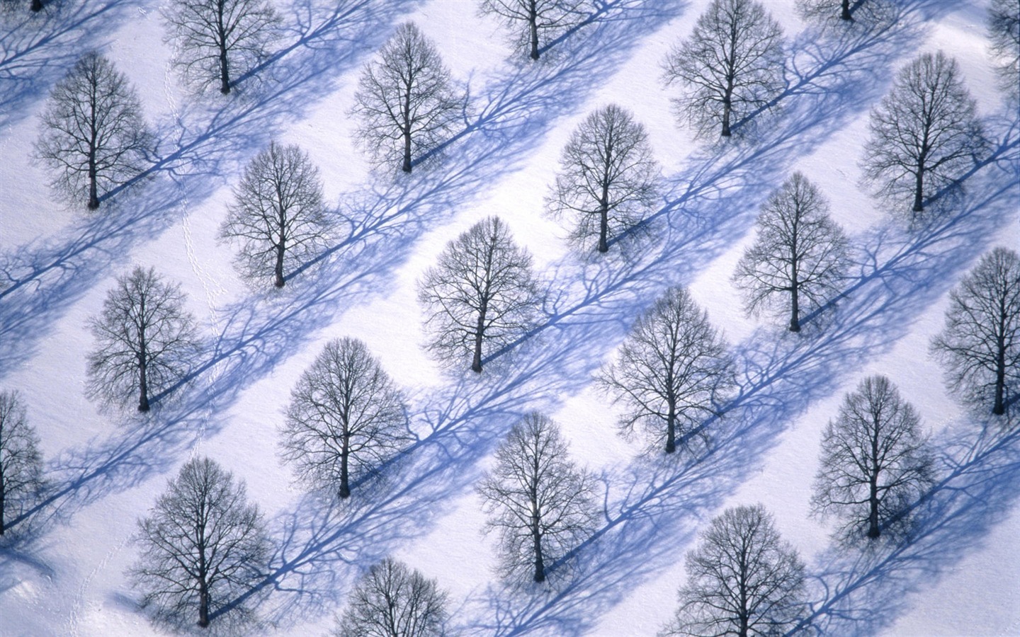 Nieve fondo de pantalla ancha (2) #17 - 1440x900