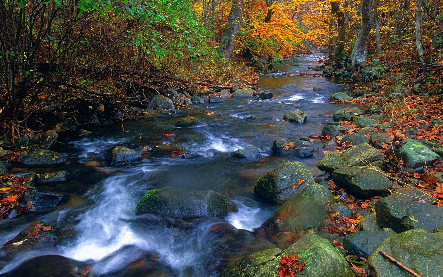 Tapety Krajina Kolekce (14) #10 - 1440x900