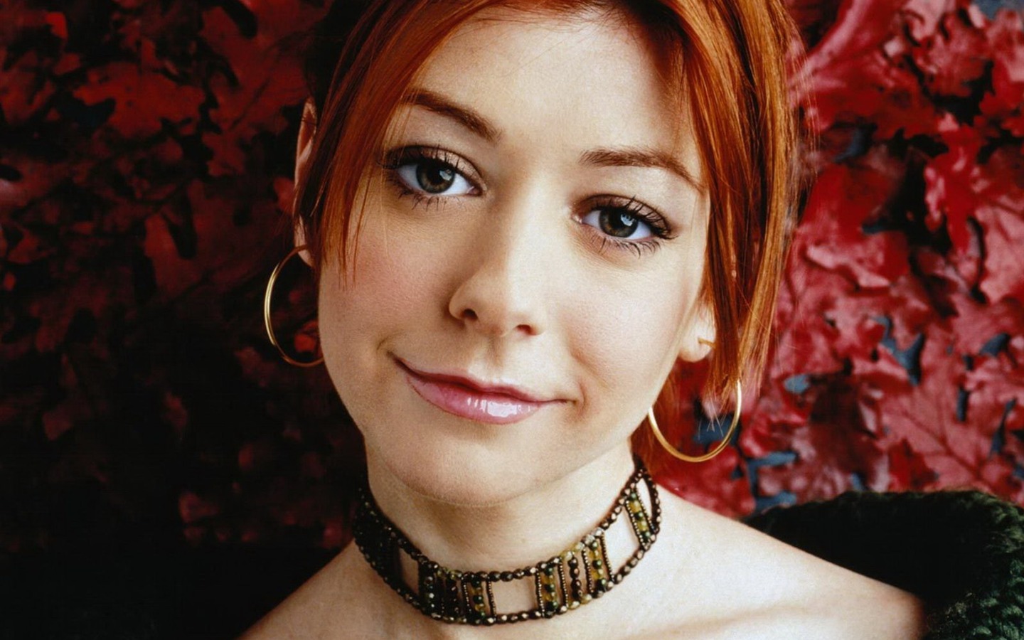 Alyson Hannigan 艾麗森·漢妮根 美女壁紙 #3 - 1440x900