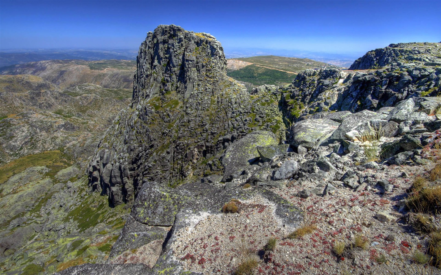 Paisaje de montaña del Valle fondo de pantalla (2) #11 - 1440x900