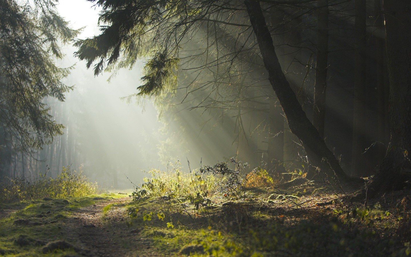 Tapety Krajina Kolekce (25) #17 - 1440x900