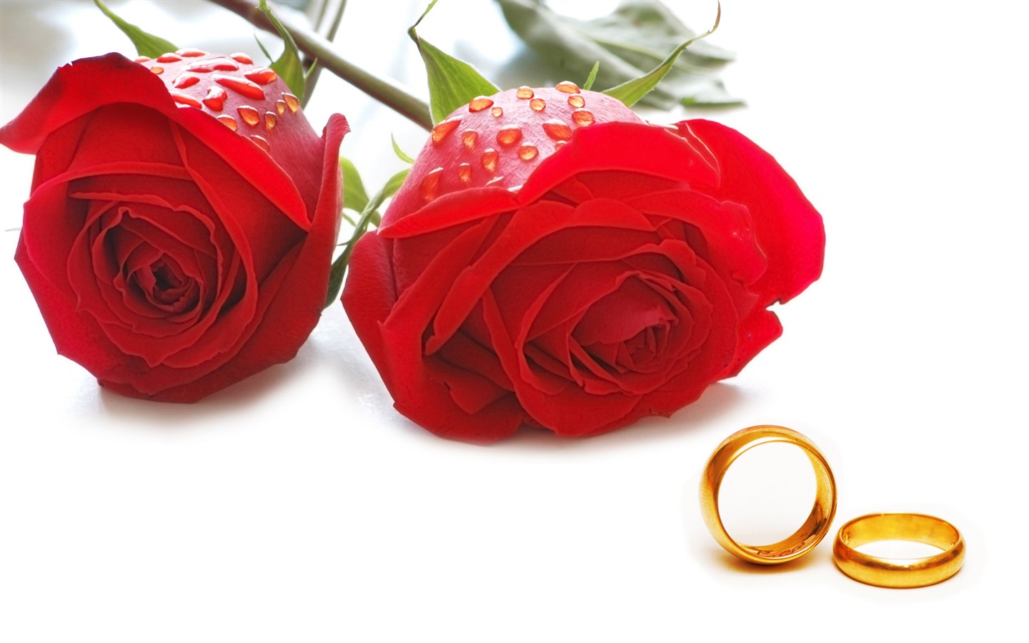 Свадьбы и свадебные кольца обои (1) #12 - 1440x900
