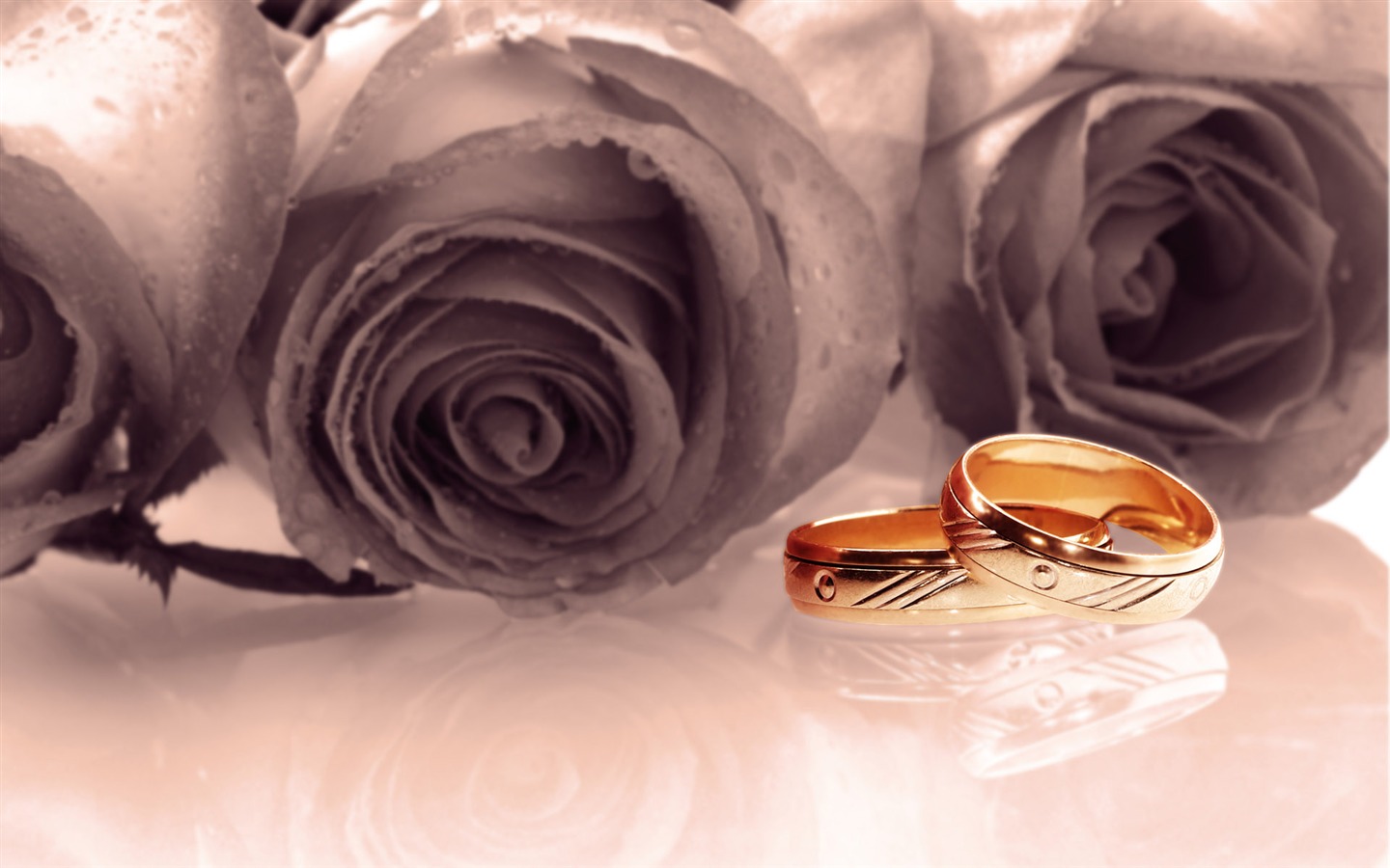 Свадьбы и свадебные кольца обои (2) #10 - 1440x900