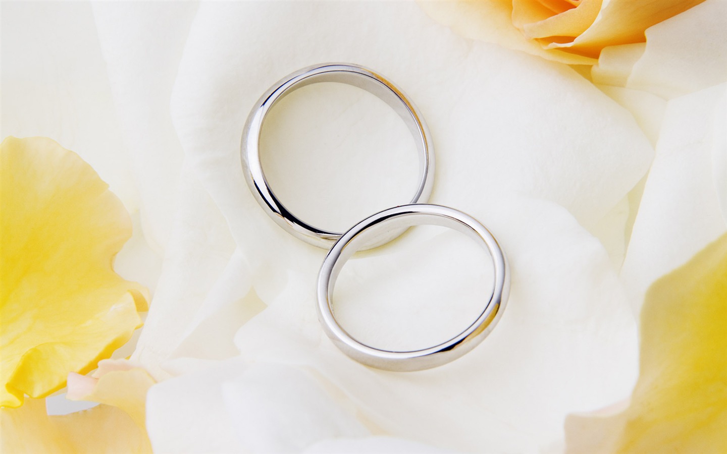 Свадьбы и свадебные кольца обои (2) #17 - 1440x900
