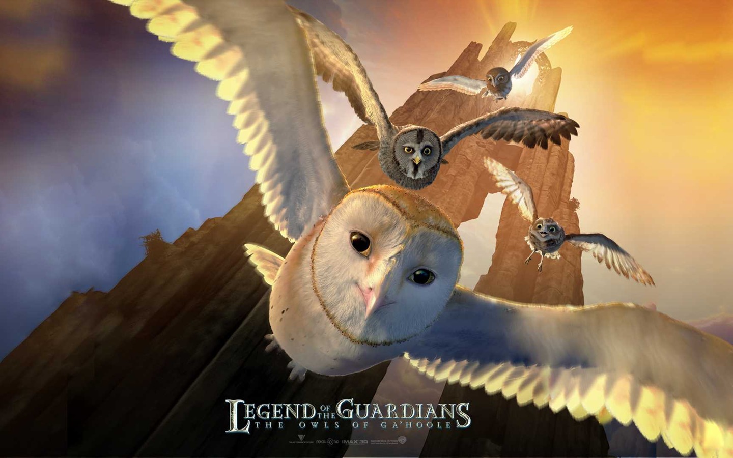 Legend of the Guardians: The Owls of Ga'Hoole 守卫者传奇(一)1 - 1440x900