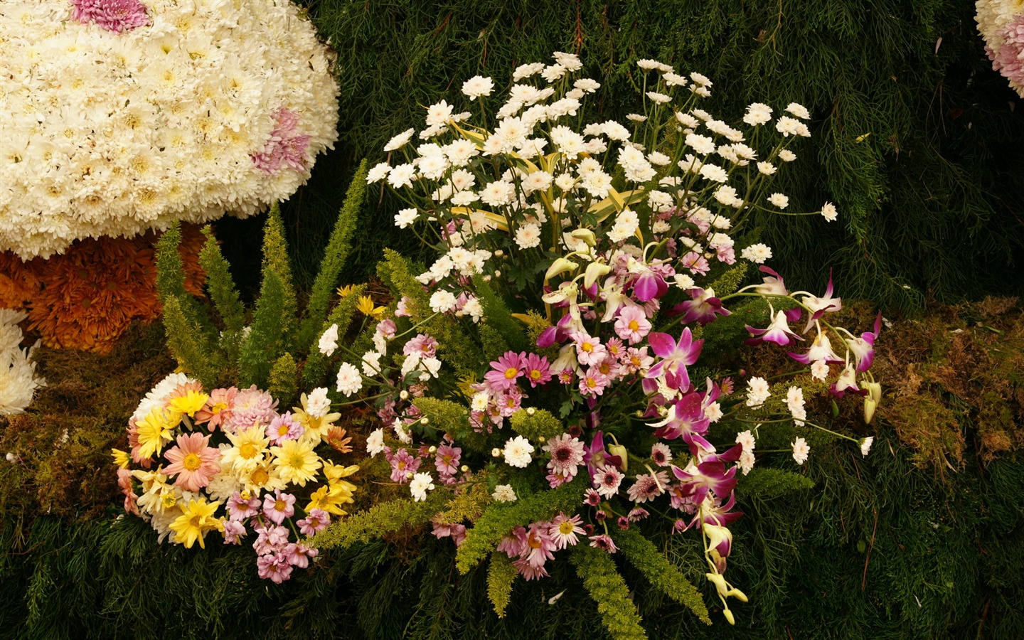 fleurs colorées décorent fond d'écran (3) #4 - 1440x900