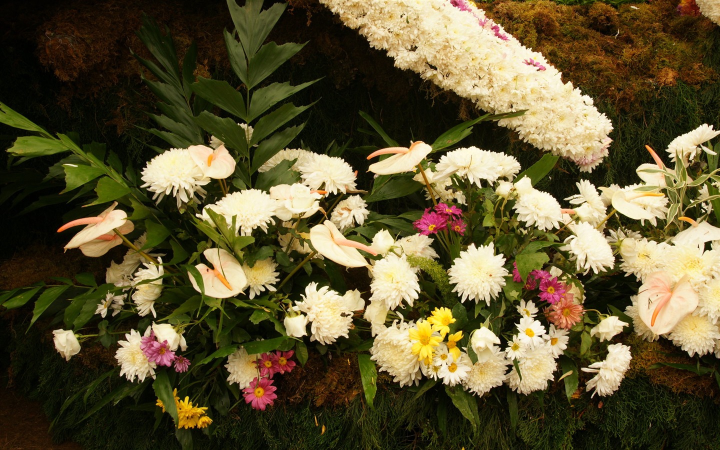 fleurs colorées décorent fond d'écran (3) #9 - 1440x900