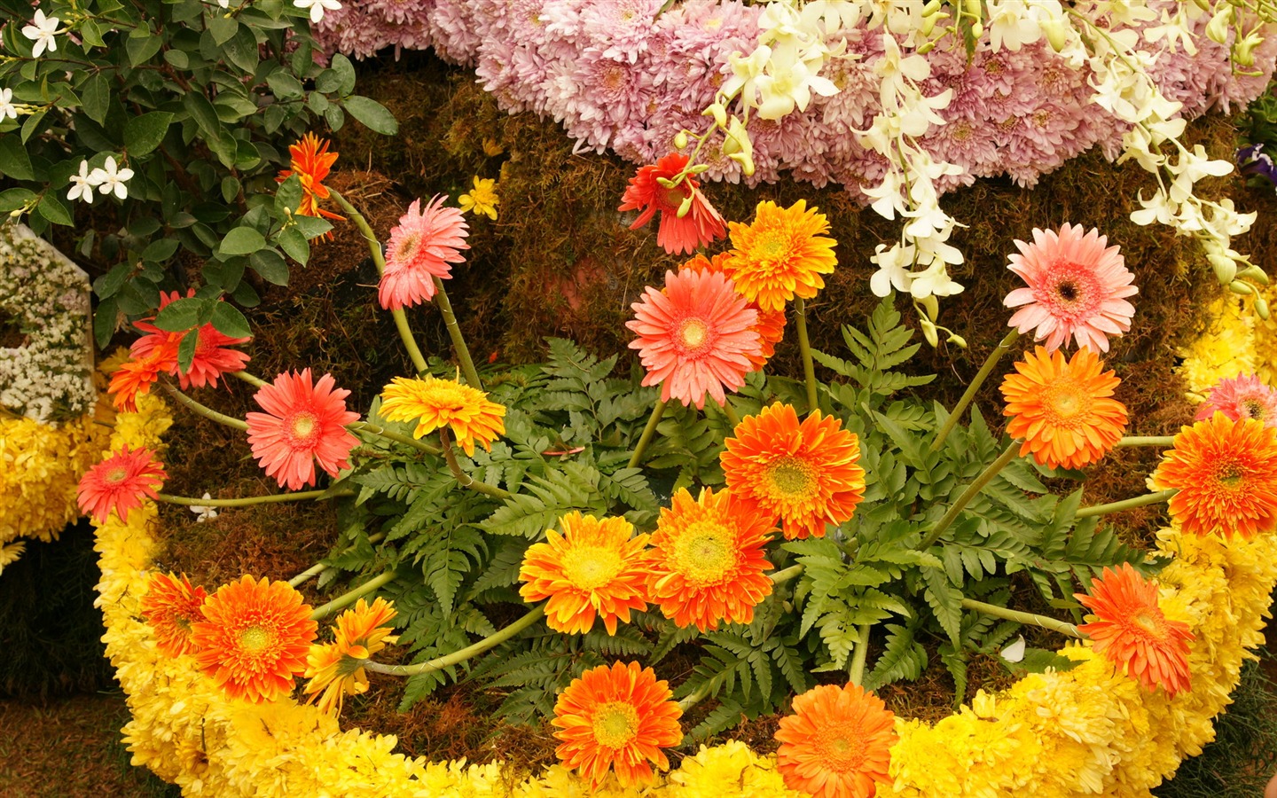 色とりどりの花は、 (4) 壁紙を飾る #19 - 1440x900