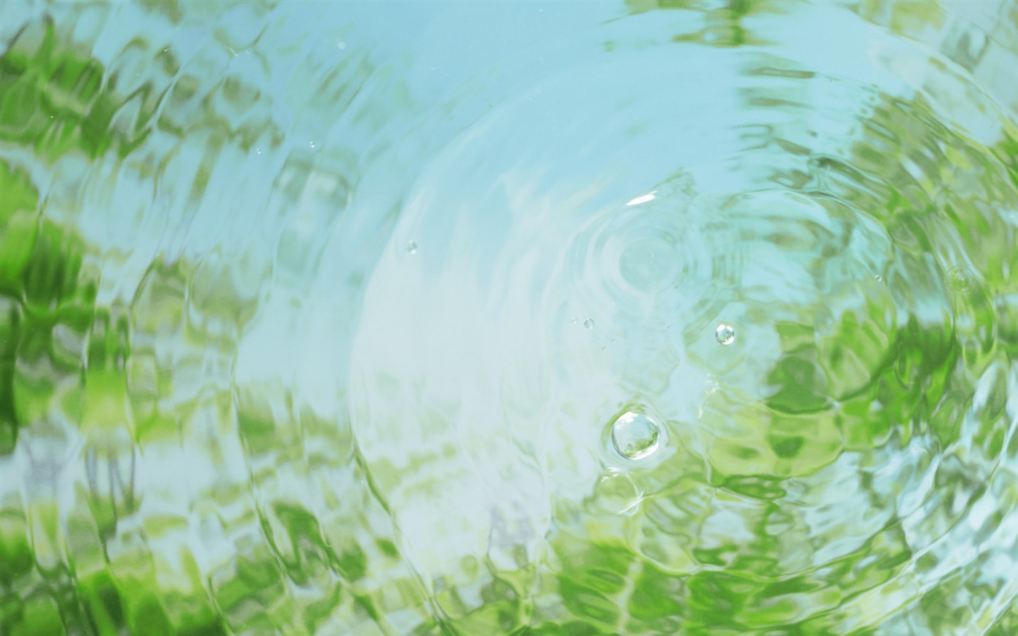 綠色與自然 壁紙(二) #5 - 1440x900