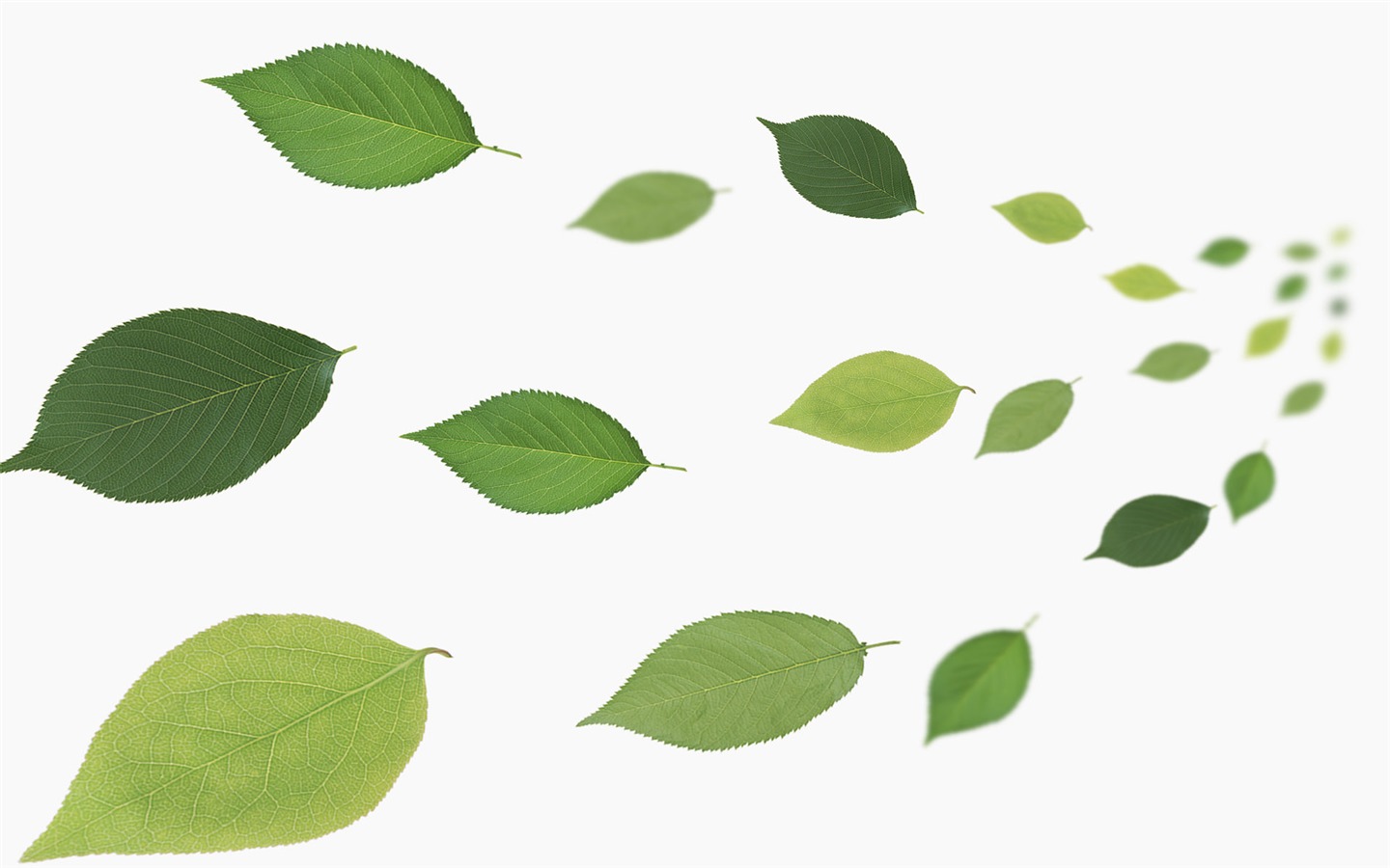 Zelená a přírodní Wallpaper (4) #3 - 1440x900