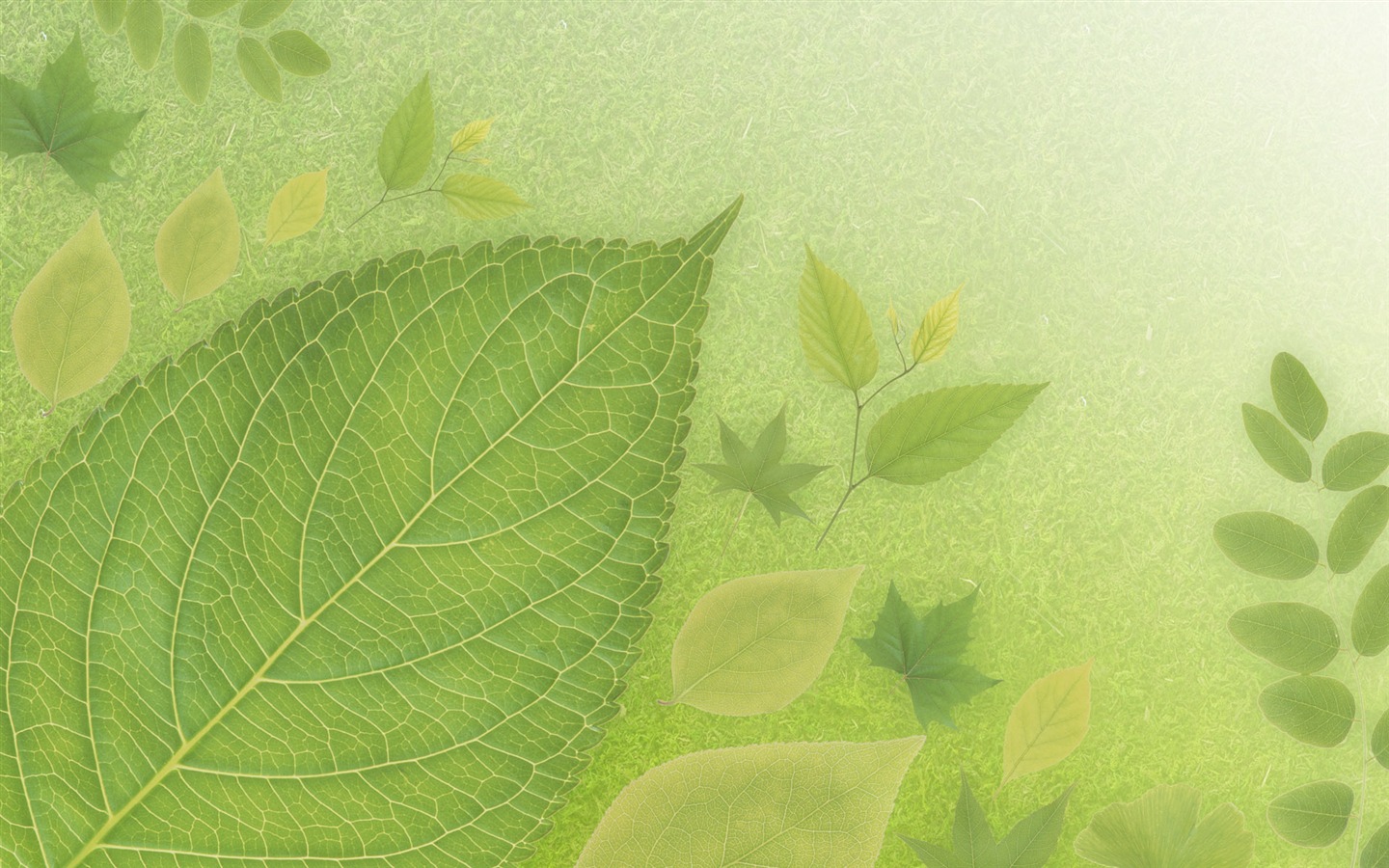 緑と自然の壁紙 (4) #6 - 1440x900