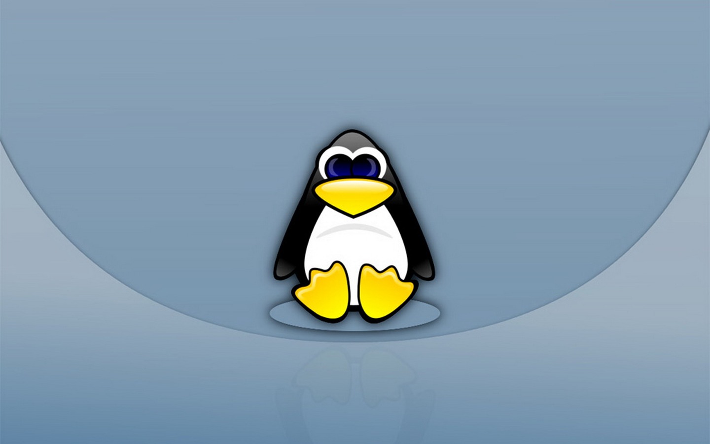 리눅스 벽지 (3) #4 - 1440x900