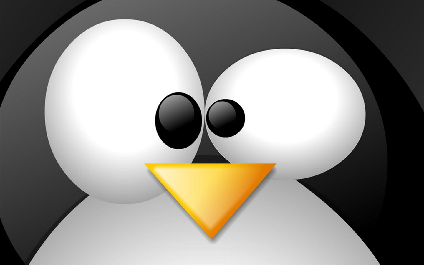 리눅스 벽지 (3) #16 - 1440x900