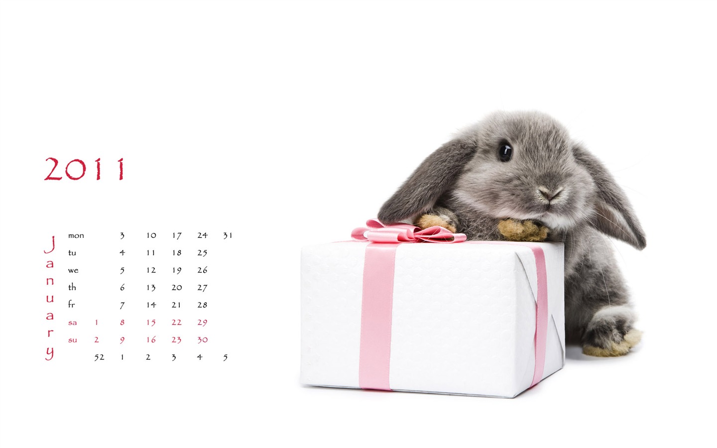 Год Кролика 2011 календарь обои (1) #2 - 1440x900