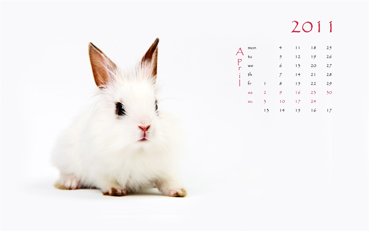 Год Кролика 2011 календарь обои (1) #4 - 1440x900