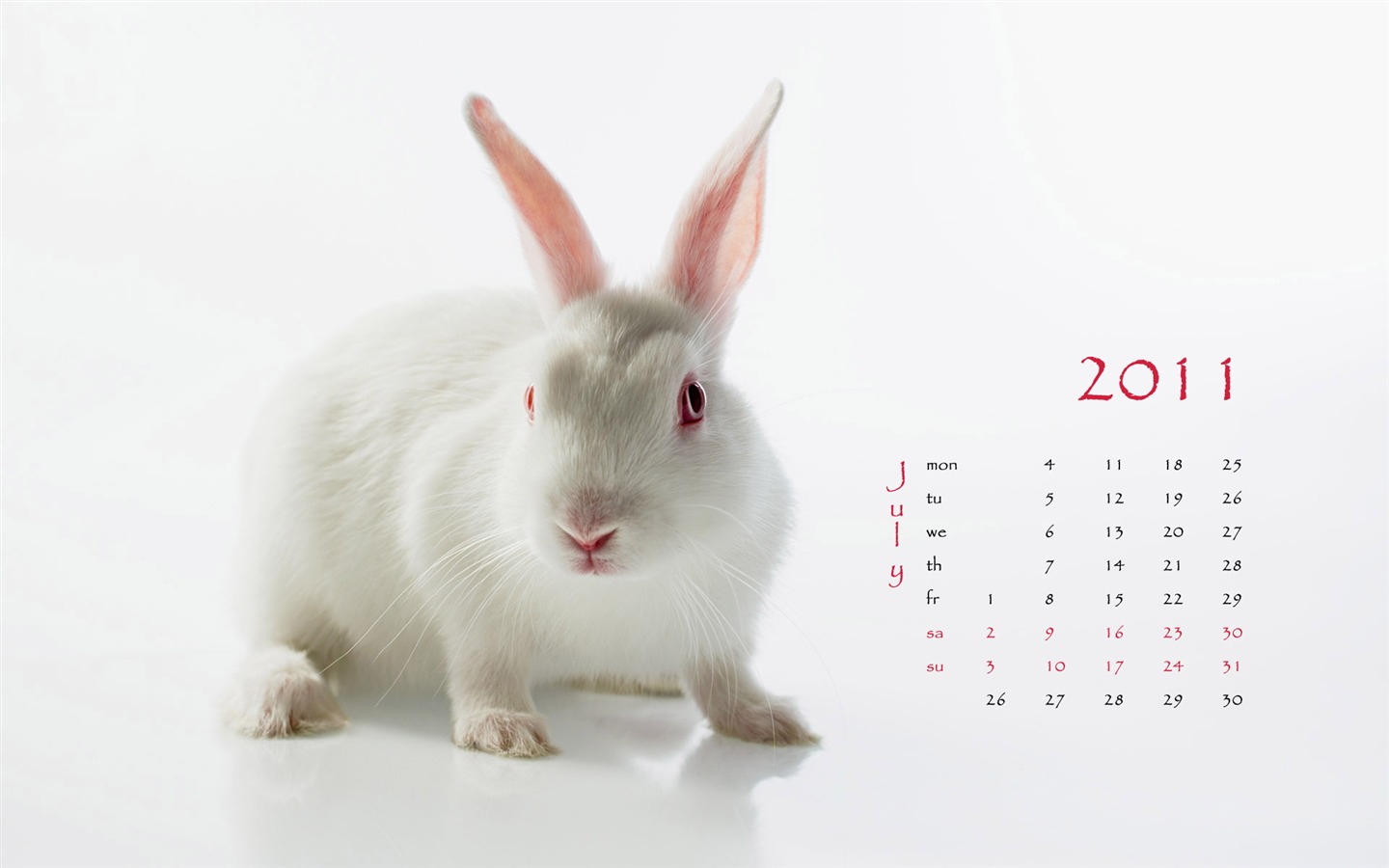 Год Кролика 2011 календарь обои (1) #7 - 1440x900
