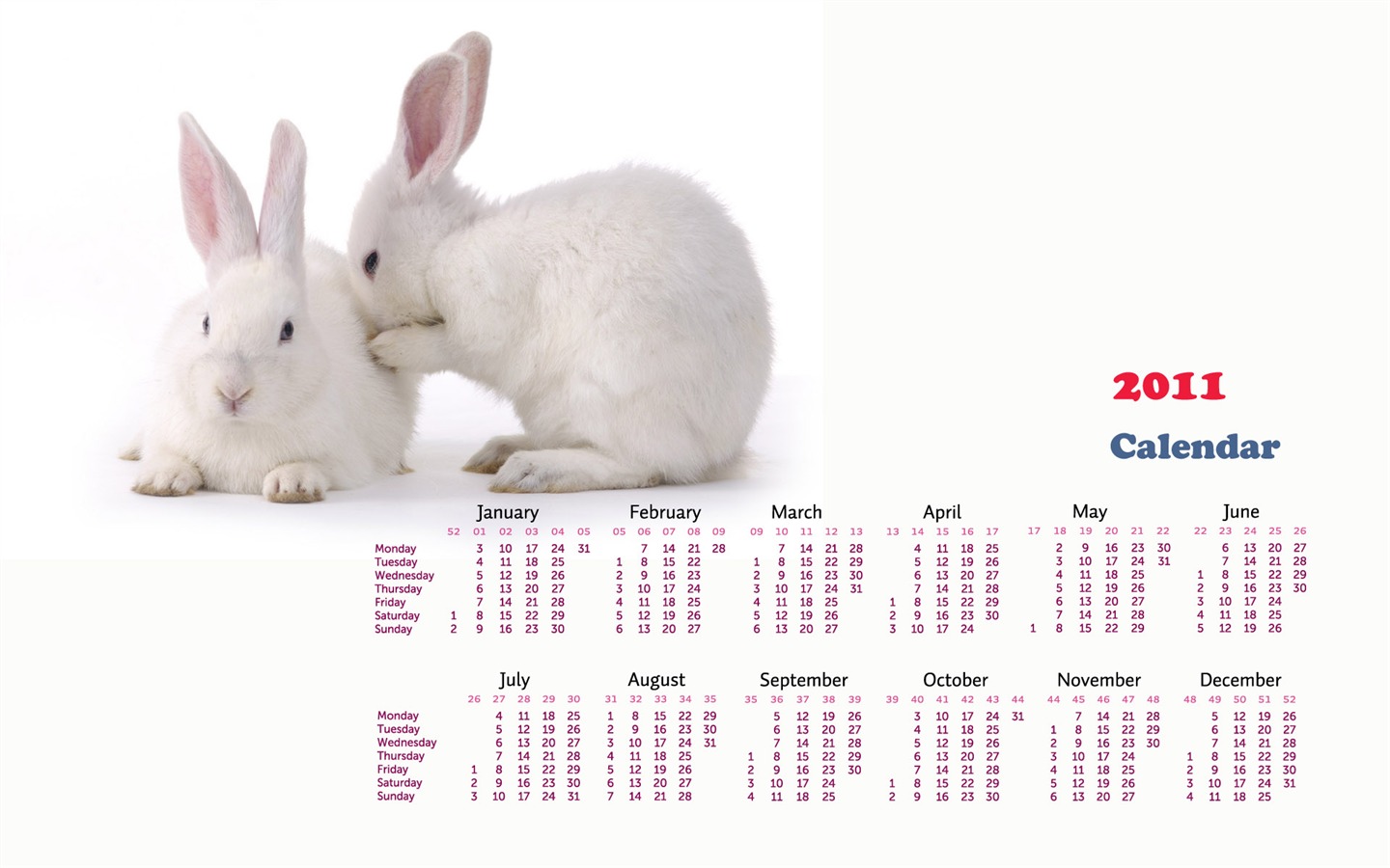 Year of the Rabbit 2011 calendar wallpaper (1) #17 - 1440x900