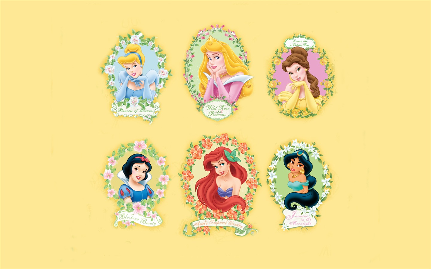 Princesa Disney de dibujos animados fondos de escritorio (4) #17 - 1440x900