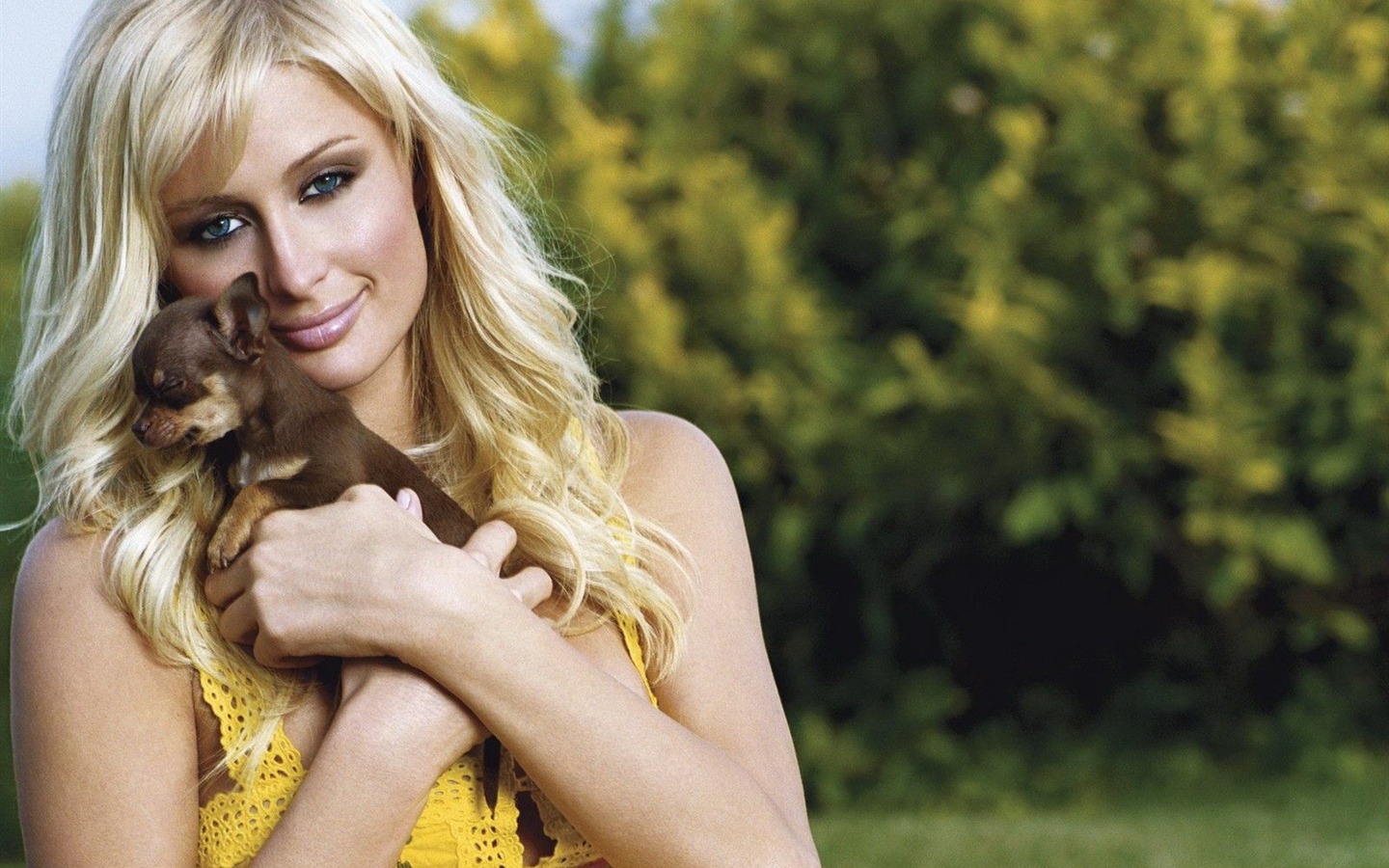 Paris Hilton krásnou tapetu (1) #14 - 1440x900