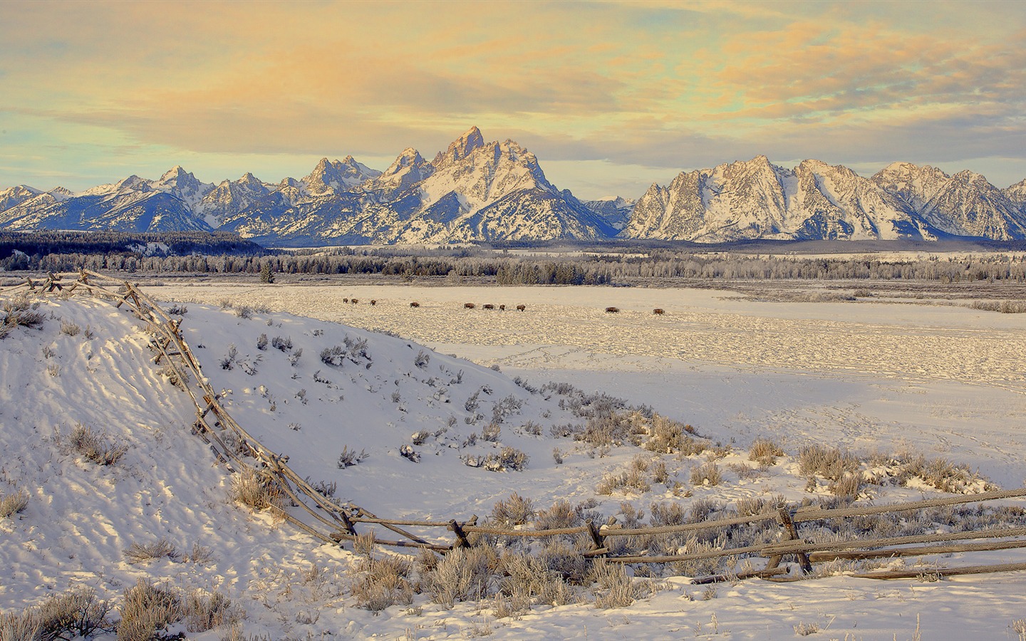 Fond d'écran panoramique de neige (3) #4 - 1440x900