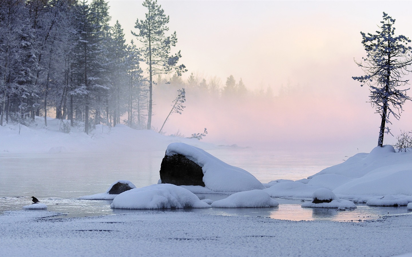 Fond d'écran panoramique de neige (3) #20 - 1440x900