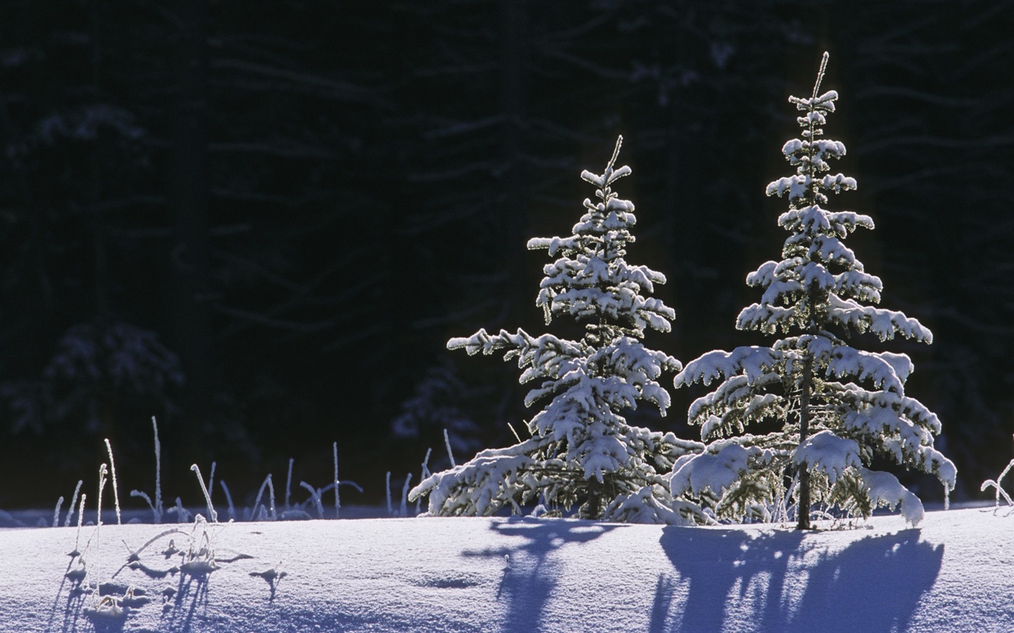 Fond d'écran panoramique de neige (4) #8 - 1440x900