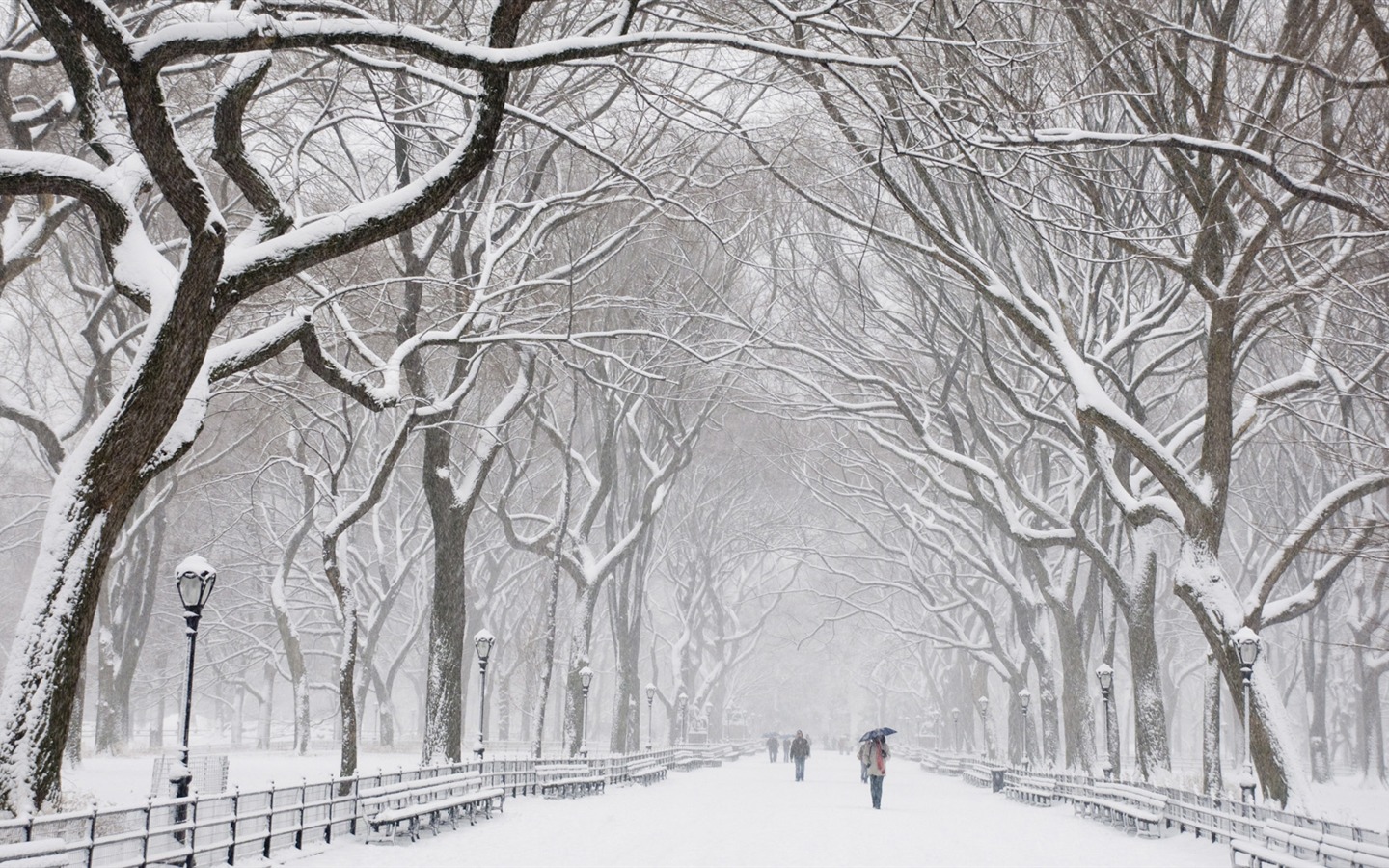 Sníh širokoúhlý tapety (4) #19 - 1440x900