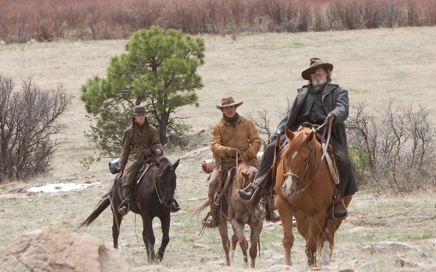 True Grit wallpapers #3 - 1440x900