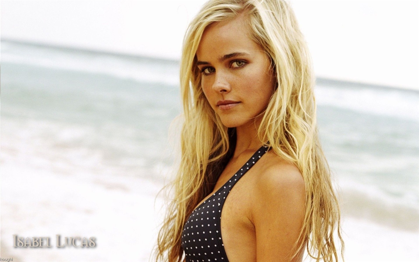 Isabel Lucas krásnou tapetu #1 - 1440x900