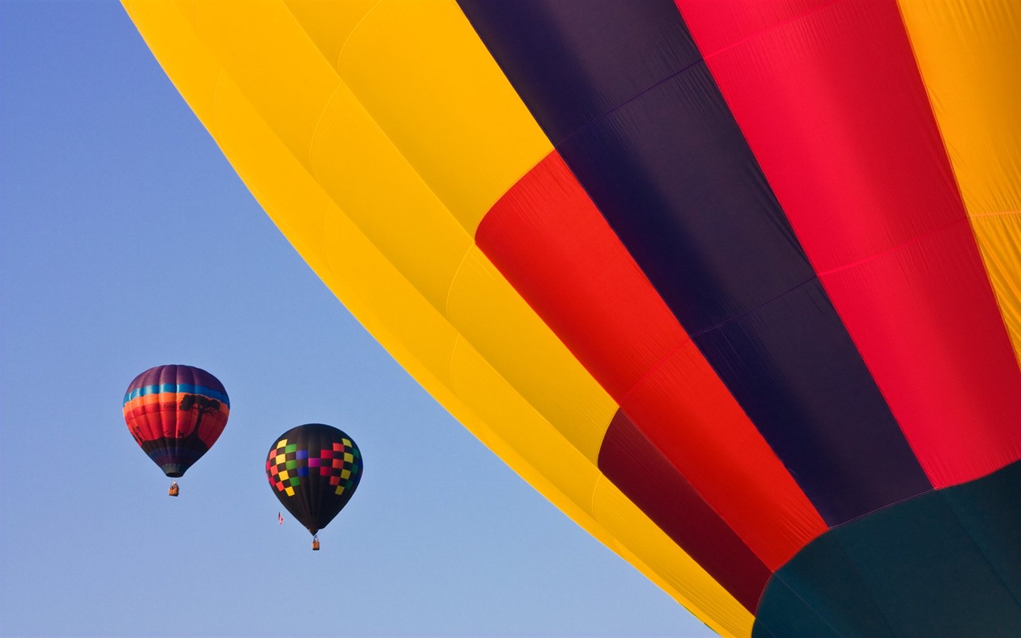 Colorful hot air balloons wallpaper (1) #19 - 1440x900