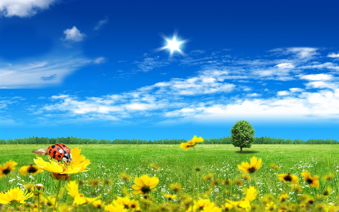 Photoshopの日当たりの良い夏の風景の壁紙 (2) #8 - 1440x900