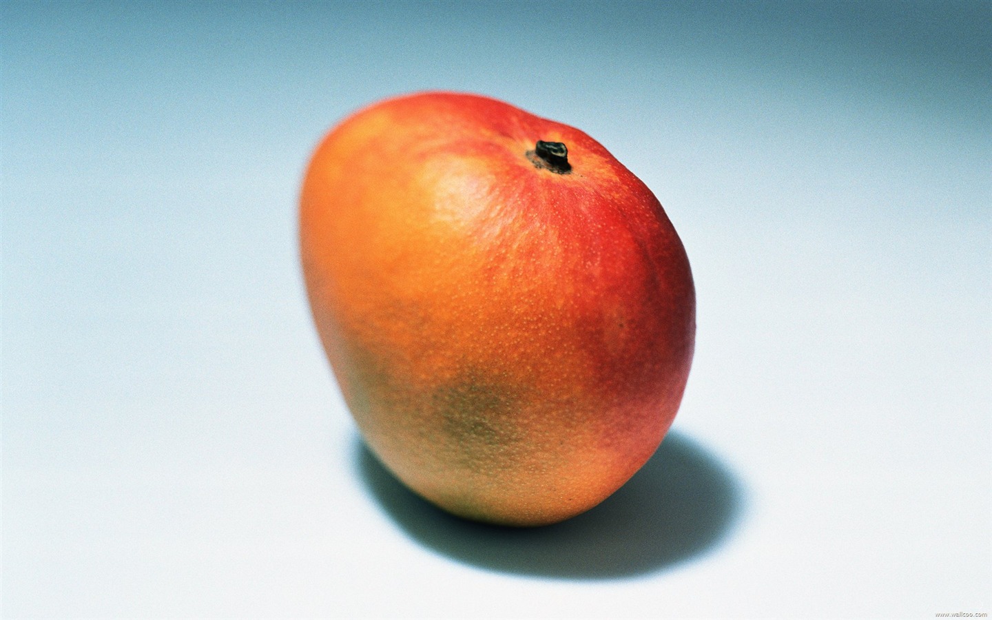 Frisch und lecker Obst Tapete #15 - 1440x900