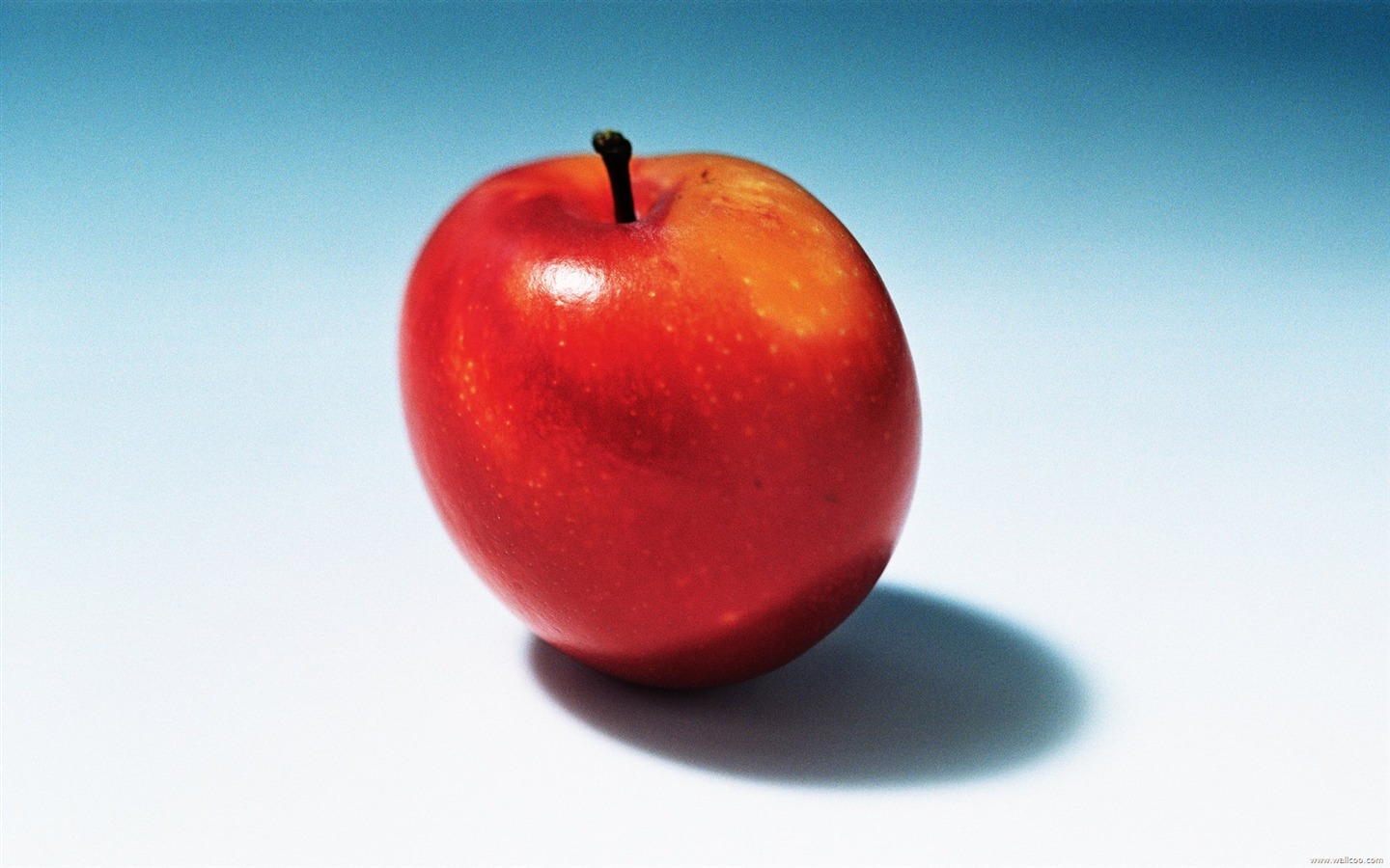 Frisch und lecker Obst Tapete #20 - 1440x900