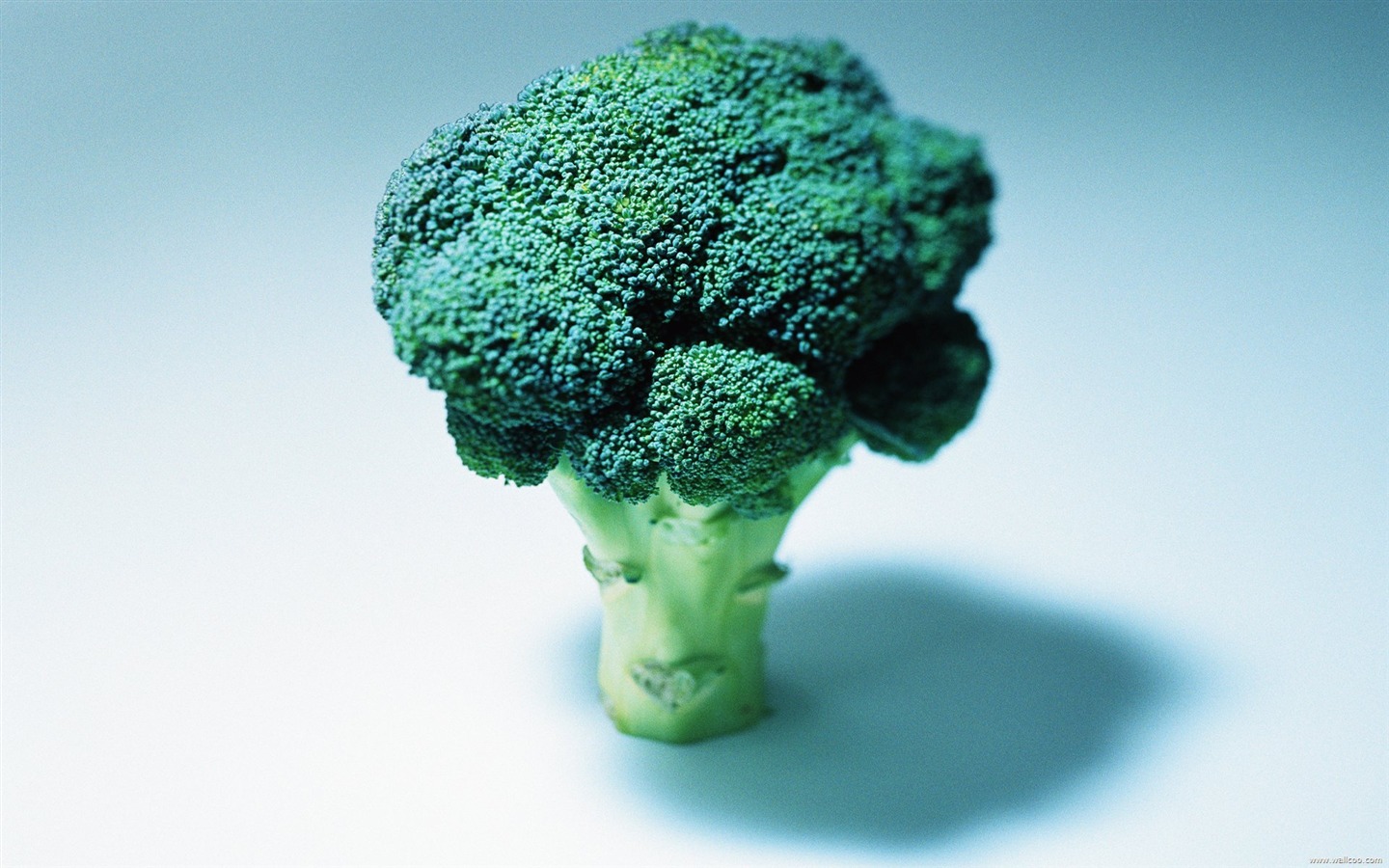 Fond d'écran vert des légumes sains #3 - 1440x900