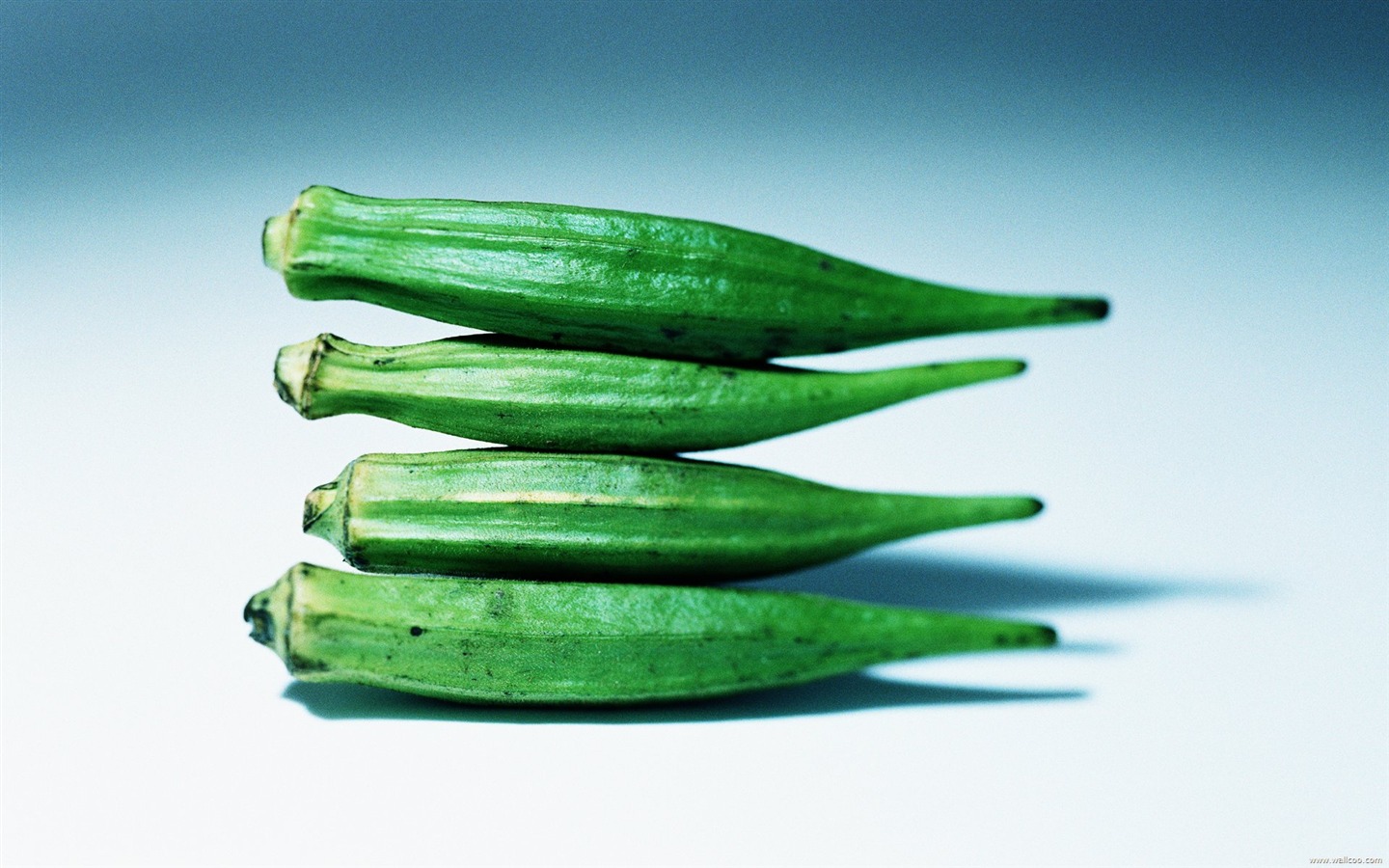 Обои зеленые здоровые овощи #17 - 1440x900