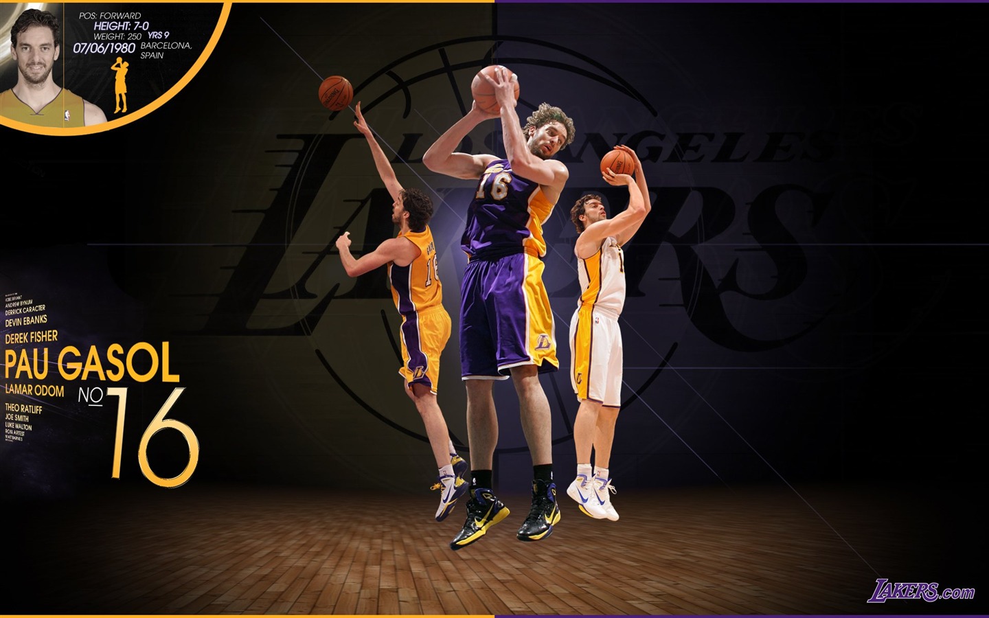 NBA 2010-11赛季 洛杉矶湖人队 壁纸10 - 1440x900