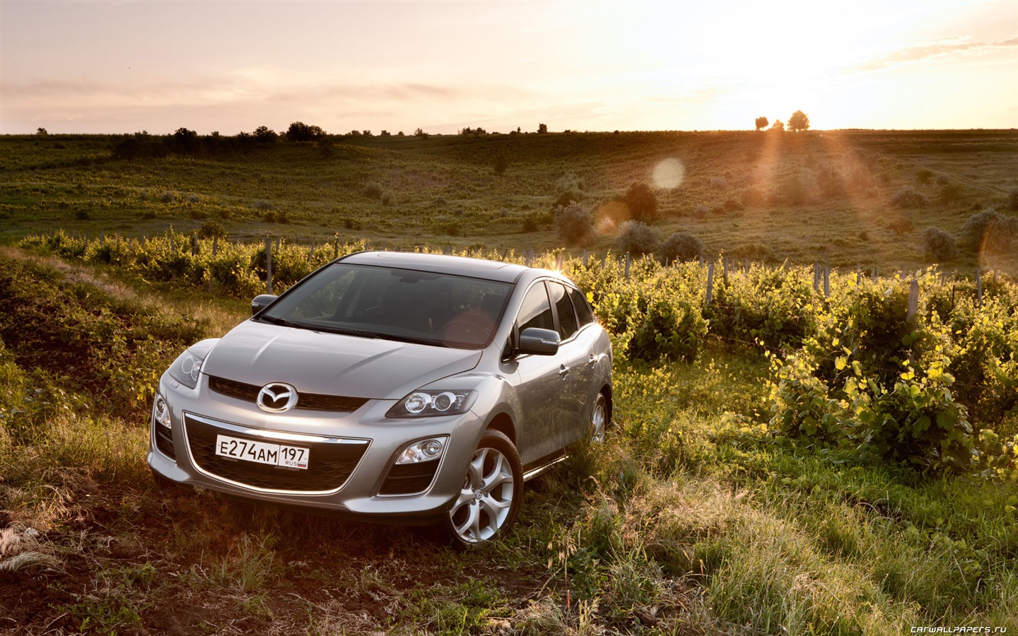 Mazda CX-7 - 2010 HD wallpaper #49 - 1440x900