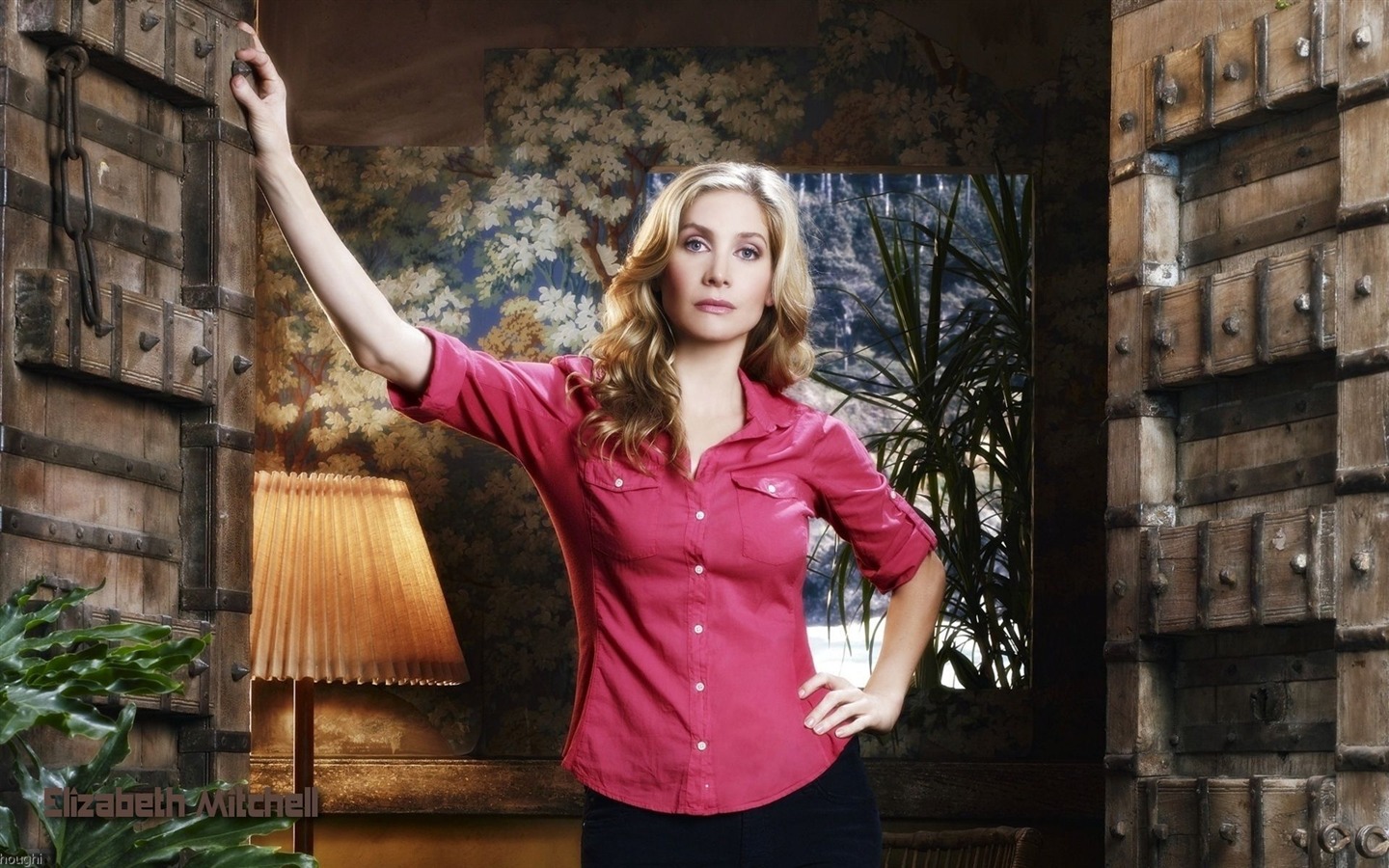 Elizabeth Mitchell schöne Tapete #6 - 1440x900