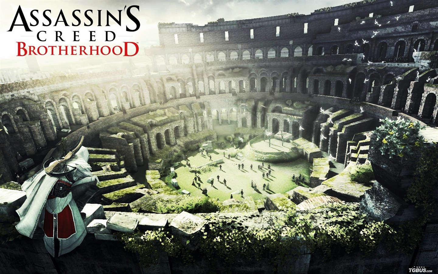 Assassins Creed: La Hermandad HD fondos de pantalla #13 - 1440x900