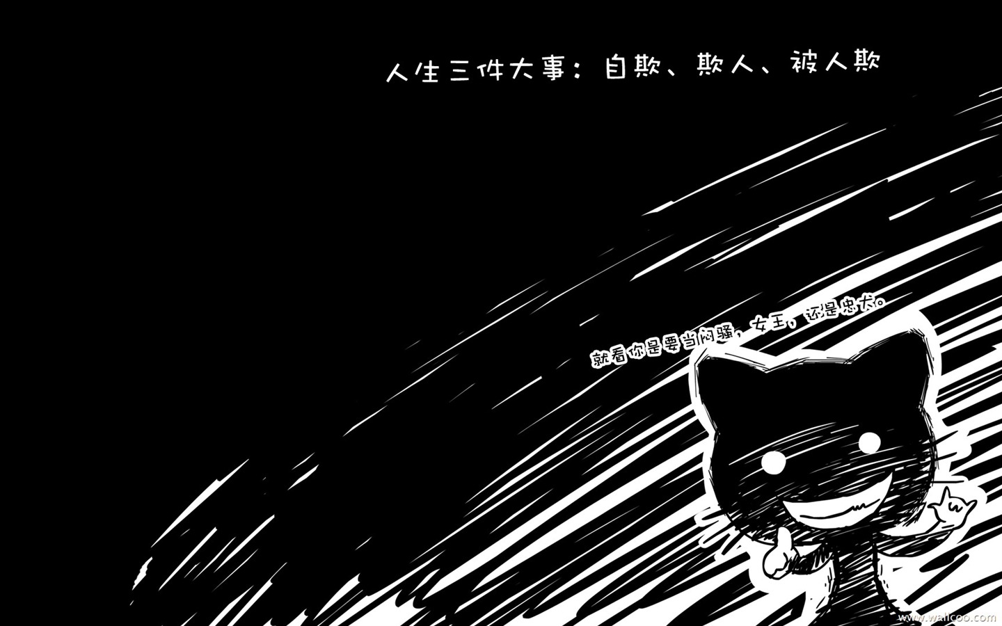 貓咪寶貝 卡通壁紙(一) #9 - 1440x900
