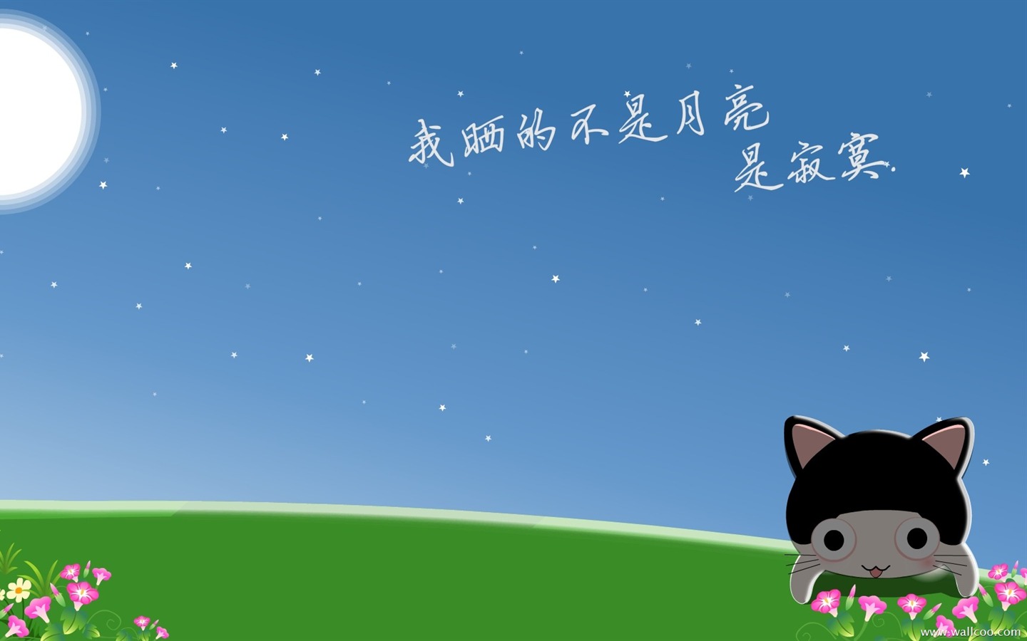 猫咪宝贝 卡通壁纸(三)17 - 1440x900