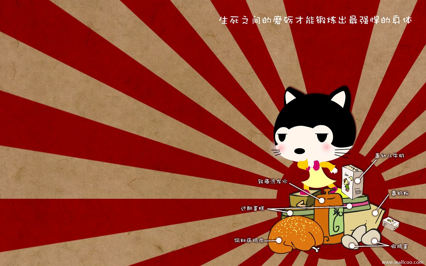 猫咪宝贝 卡通壁纸(四)7 - 1440x900