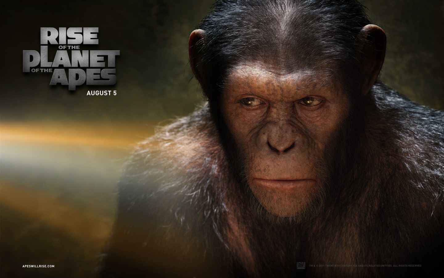 Rise of Planet of the Apes tapet #1 - 1440x900